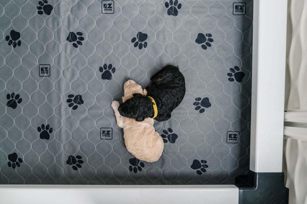 Wrigley-Approved Reusable Quick Dry Pads - Heavy Absorbency