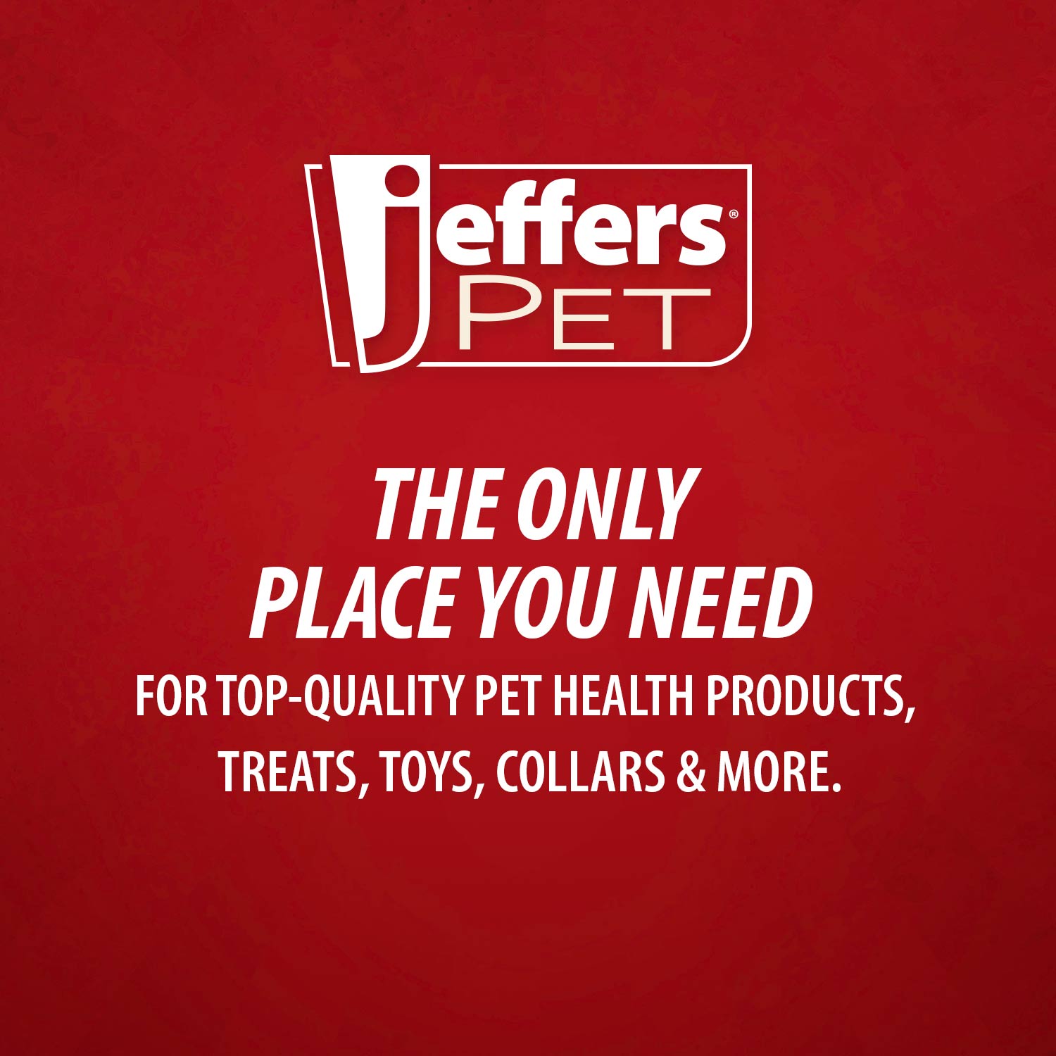 Wrigley's Favorite Shampoo Jeffers Moisturizing Shampoos for Pets
